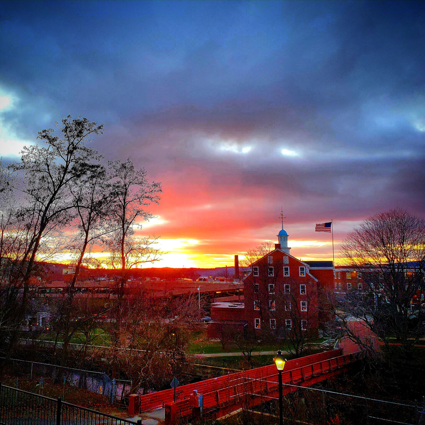 Reader Pics: Nov. 21
